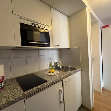 At Famous Storchengasse - Stork 45 Apartment Zurich