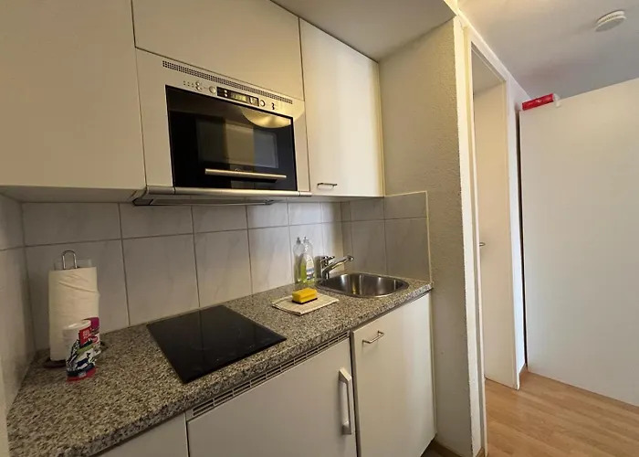 At Famous Storchengasse - Stork 45 Apartment Zurich